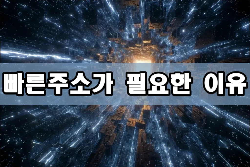 빠른주소가 필요한 이유 표지